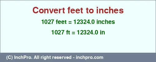 1027 feet to inches is equal to 12324.0 (in) Result converting 1027 feet to inches = 12324.0 inches