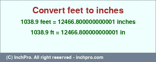 Result converting 1038.9 feet to inches = 12466.800000000001 inches