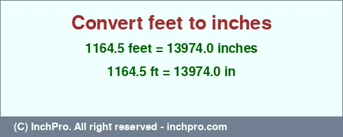 1164.5 feet to inches is equal to 13974.0 (in) Result converting 1164.5 feet to inches = 13974.0 inches