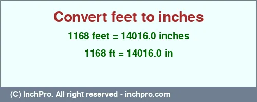 1168 feet to inches is equal to 14016.0 (in) Result converting 1168 feet to inches = 14016.0 inches