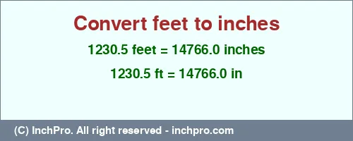 1230.5 feet to inches is equal to 14766.0 (in) Result converting 1230.5 feet to inches = 14766.0 inches