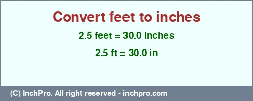 2.5 feet to inches is equal to 30.0 (in) Result converting 2.5 feet to inches = 30.0 inches