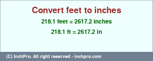 218.1 feet to inches is equal to 2617.2 (in) Result converting 218.1 feet to inches = 2617.2 inches