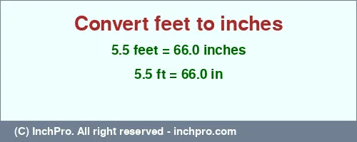 Result converting 5.5 feet to inches = 66.0 inches