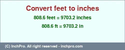 808.6 feet to inches is equal to 9703.2 (in) Result converting 808.6 feet to inches = 9703.2 inches