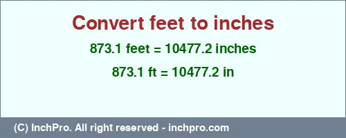 873.1 feet to inches is equal to 10477.2 (in) Result converting 873.1 feet to inches = 10477.2 inches
