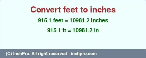 Result converting 915.1 feet to inches = 10981.2 inches