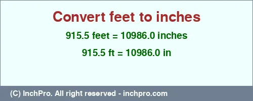 915.5 feet to inches is equal to 10986.0 (in) Result converting 915.5 feet to inches = 10986.0 inches