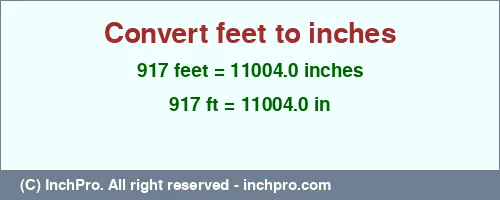 917 feet to inches is equal to 11004.0 (in) Result converting 917 feet to inches = 11004.0 inches