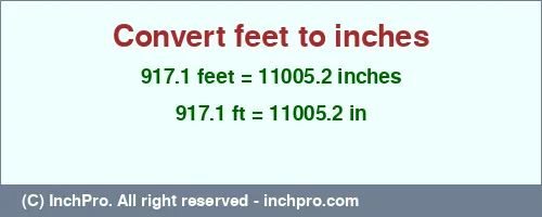 917.1 feet to inches is equal to 11005.2 (in) Result converting 917.1 feet to inches = 11005.2 inches