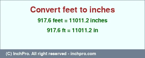 917.6 feet to inches is equal to 11011.2 (in) Result converting 917.6 feet to inches = 11011.2 inches
