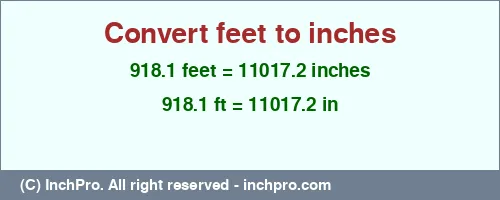 918.1 feet to inches is equal to 11017.2 (in) Result converting 918.1 feet to inches = 11017.2 inches