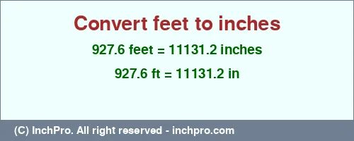 927.6 feet to inches is equal to 11131.2 (in) Result converting 927.6 feet to inches = 11131.2 inches