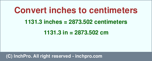 Result converting 1131.3 inches to cm = 2873.502 centimeters