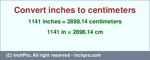 1141 inches to cm is equal to 2898.14 (cm) Result converting 1141 inches to cm = 2898.14 centimeters