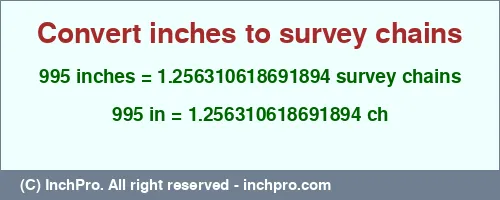 Result converting 995 inches to ch = 1.256310618691894 survey chains