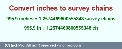 Result converting 995.9 inches to ch = 1.2574469800555348 survey chains