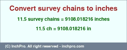 11.5 survey chains to inches is equal to 9108.018216 (in) Result converting 11.5 survey chains to inches = 9108.018216 inches