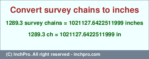 1289.3 survey chains to inches is equal to 1021127.6422511999 (in) Result converting 1289.3 survey chains to inches = 1021127.6422511999 inches