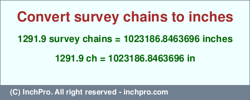 Result converting 1291.9 survey chains to inches = 1023186.8463696 inches