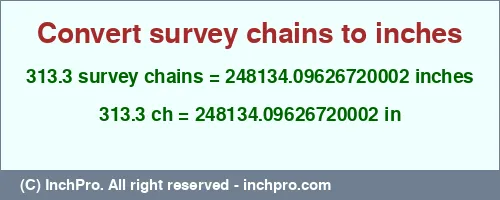 313.3 survey chains to inches is equal to 248134.09626720002 (in) Result converting 313.3 survey chains to inches = 248134.09626720002 inches