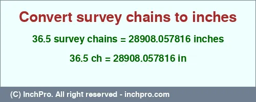 36.5 survey chains to inches is equal to 28908.057816 (in) Result converting 36.5 survey chains to inches = 28908.057816 inches
