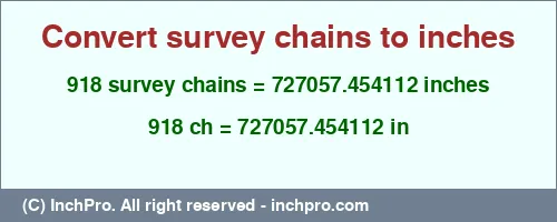 918 survey chains to inches is equal to 727057.454112 (in) Result converting 918 survey chains to inches = 727057.454112 inches
