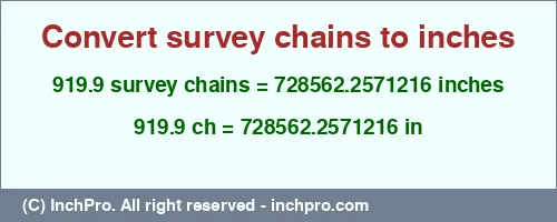 Result converting 919.9 survey chains to inches = 728562.2571216 inches