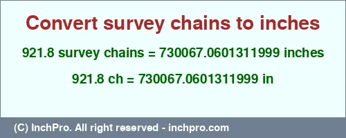 921.8 survey chains to inches is equal to 730067.0601311999 (in) Result converting 921.8 survey chains to inches = 730067.0601311999 inches