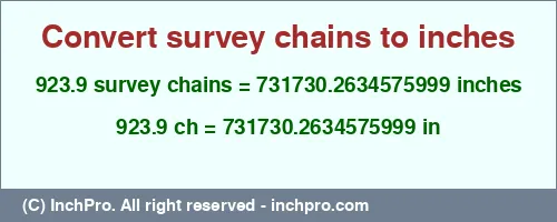 Result converting 923.9 survey chains to inches = 731730.2634575999 inches