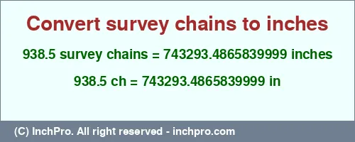 Result converting 938.5 survey chains to inches = 743293.4865839999 inches
